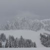 20140216_381